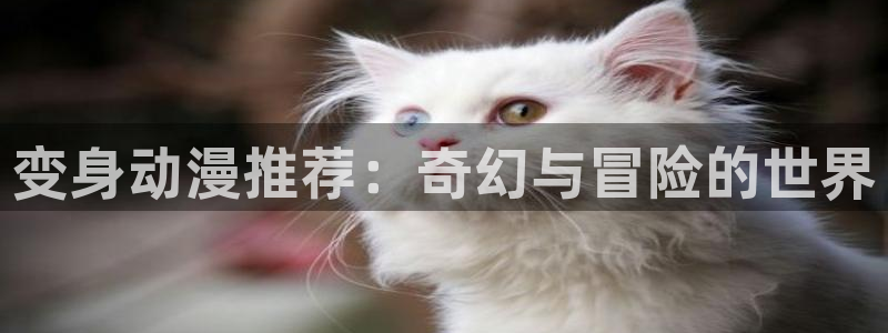 omofun.cim：变身动漫推荐：奇幻与冒险的世界