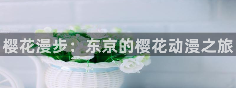 omofun正版官方链接：樱花漫步：东京的樱花动漫之旅