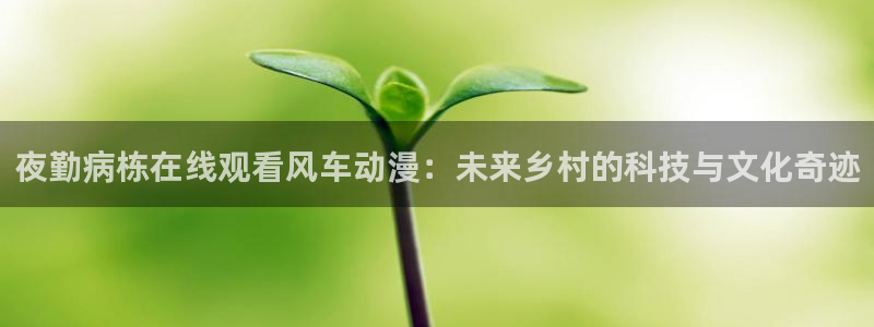 omofun..com：夜勤病栋在线观看风车动漫：未来乡村的科技与文化奇迹