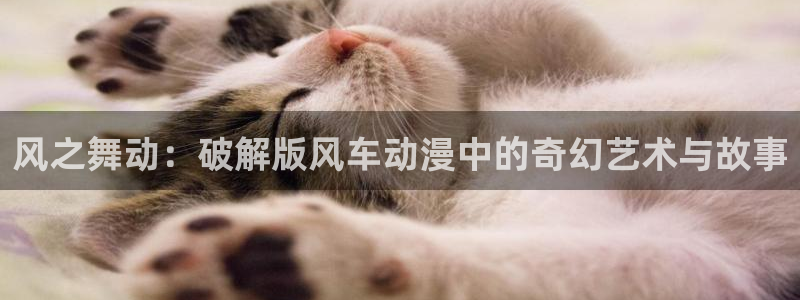 omofun下载最新：风之舞动：破解版风车动漫中的奇幻艺术与故事