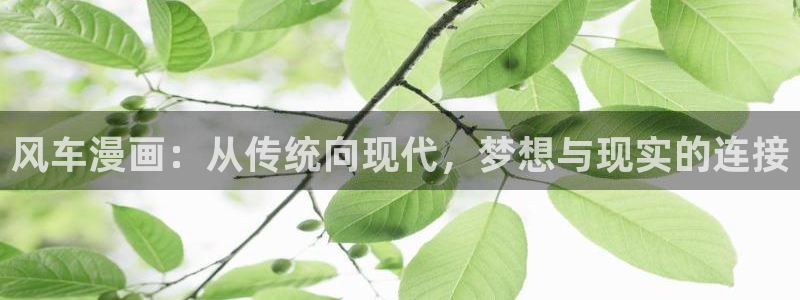 omofun动漫视频网提供最新最快的动漫新番：风车漫画：从传统向现代，梦想与现实的连接