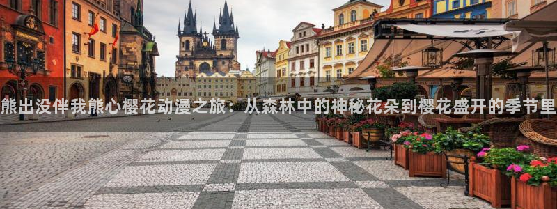 1 omofun：熊出没伴我熊心樱花动漫之旅：从森林中的神秘花朵到樱花盛开的季节里