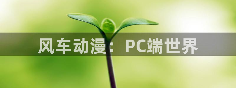 omofun网页：风车动漫：PC端世界