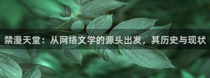 omofun吧：禁漫天堂：从网络文学的源头出发，其历史与现状