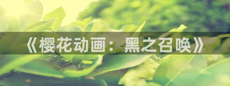 omofun可以投屏吗：《樱花动画：黑之召唤》