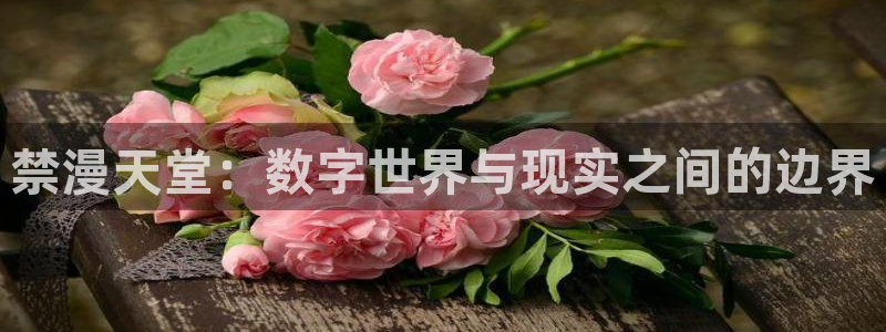 omofun下载ios苹果：禁漫天堂：数字世界与现实之间的边界