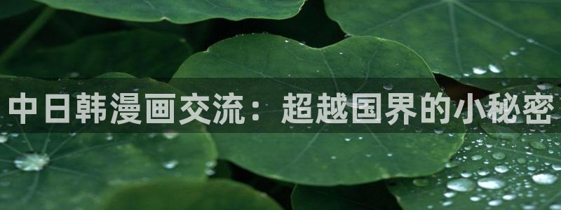 omofun正版：中日韩漫画交流：超越国界的小秘密