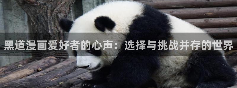 omofun动漫官方版下载：黑道漫画爱好者的心声：选择与挑战并存的世界
