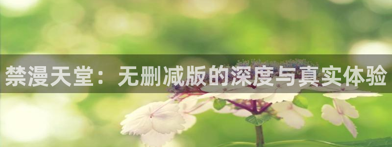omofun动漫在哪下载：禁漫天堂：无删减版的深度与真实体验